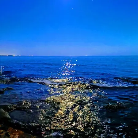 Aria With Beautiful Terrace With Sea & Park View Apartment